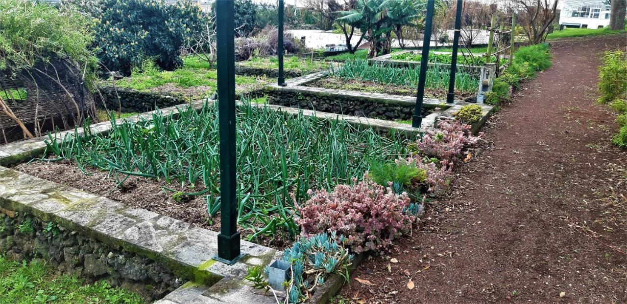 Quinta Do Bom Despacho Ponta Delgada 외부 사진